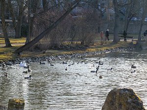 "Farbtupfer" aus Sondershausen