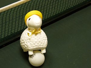 9:9-Unentschieden an der Platte