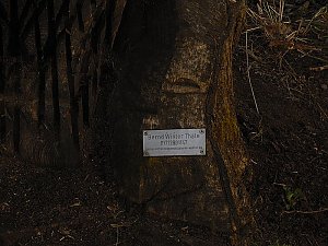 Burgruine Anhalt