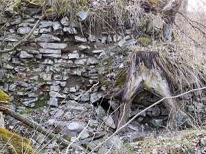 Burgruine Anhalt