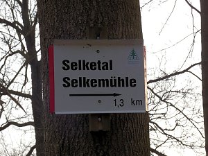 Burgruine Anhalt