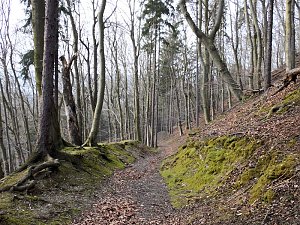 Burgruine Anhalt