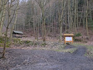 Burgruine Anhalt