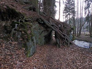 Peter Blei war mit der Kamera zwischen M&auml;gdesprung und Selketal unterwegs