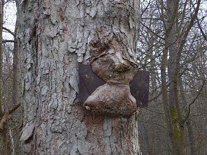 Peter Blei war mit der Kamera zwischen M&auml;gdesprung und Selketal unterwegs