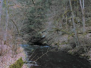 Peter Blei war mit der Kamera zwischen M&auml;gdesprung und Selketal unterwegs