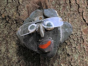 Peter Blei war mit der Kamera zwischen M&auml;gdesprung und Selketal unterwegs