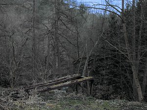 Peter Blei war mit der Kamera zwischen M&auml;gdesprung und Selketal unterwegs