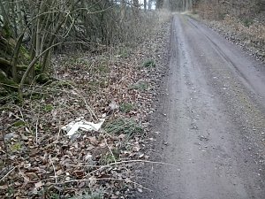 M&uuml;ll &uuml;ber M&uuml;ll
