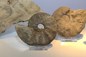 Museumsnacht in Nordhausen