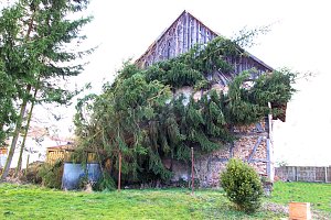 Sturmsch&auml;den in Liebenrode