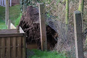 Sturmsch&auml;den in Liebenrode