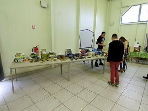 Insekten und mehr in Sundhausen