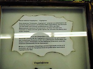 Insekten und mehr in Sundhausen