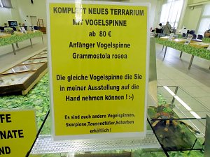 Insekten und mehr in Sundhausen