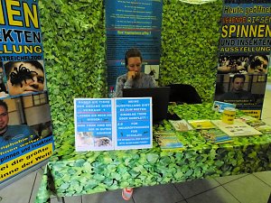 Insekten und mehr in Sundhausen