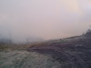 Osterfeuer in Neustadt