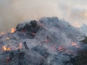 Osterfeuer in Neustadt