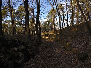 Der Blick nach oben und nach unten