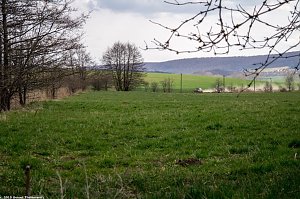 Roland-Rallye bei Bleicherode