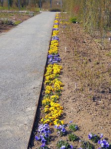 Saisoneröffnung im Sangerhäuser Rosarium