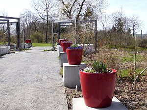 Saisoneröffnung im Sangerhäuser Rosarium