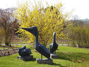 Saisoneröffnung im Sangerhäuser Rosarium