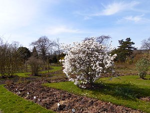 Saisoneröffnung im Sangerhäuser Rosarium