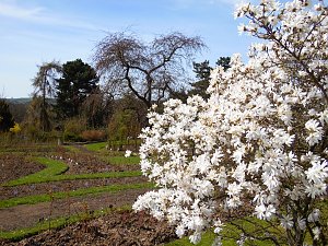 Saisoneröffnung im Sangerhäuser Rosarium
