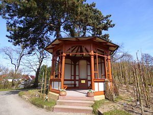 Saisoneröffnung im Sangerhäuser Rosarium