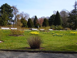 Saisoneröffnung im Sangerhäuser Rosarium