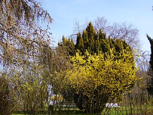 Saisoneröffnung im Sangerhäuser Rosarium
