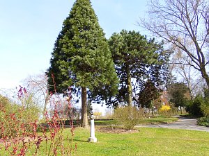 Saisoneröffnung im Sangerhäuser Rosarium