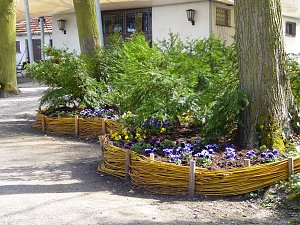 Saisoneröffnung im Sangerhäuser Rosarium