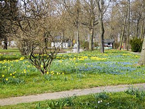 Saisoneröffnung im Sangerhäuser Rosarium