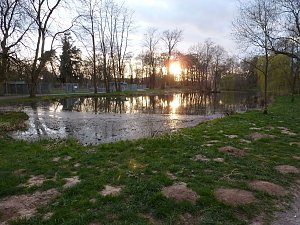 "Untergang" im Park