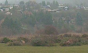 Begonnener Aufbau Osterfeuer