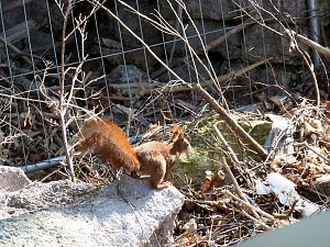 Auf Erkundung an der Stadtmauer