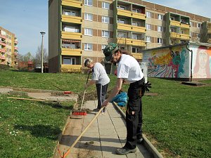 VdK dabei - Fr&uuml;hjahrsputz auf dem K&ouml;nigstuhl