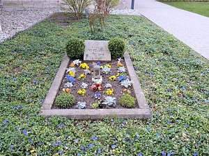 Der Nordh&auml;user Dom