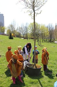 Bereits 10. Baumfest in Sondershausen