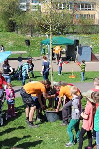 Bereits 10. Baumfest in Sondershausen
