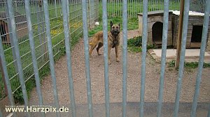 Tierheim Nordhausen
