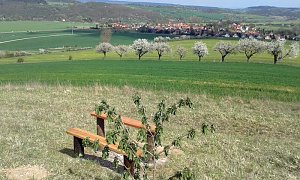Initiative gezeigt
