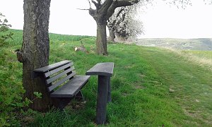 Initiative gezeigt