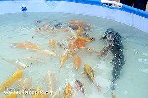 Fischfest