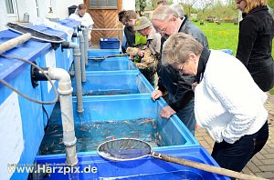 Fischfest