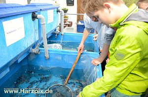 Fischfest