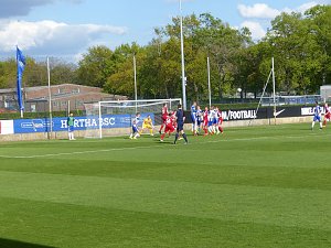 Herthas U23 gewinnt gegen Wacker