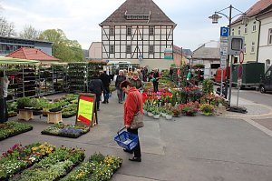 Gewimmel auf dem Pflanzenmarkt